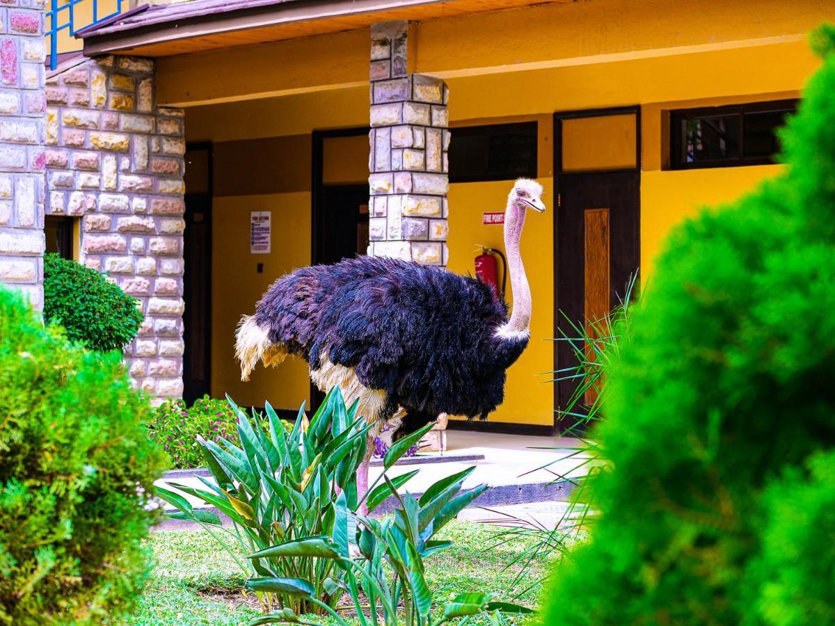 Lake Bogoria Spa Resort Marigat Εξωτερικό φωτογραφία